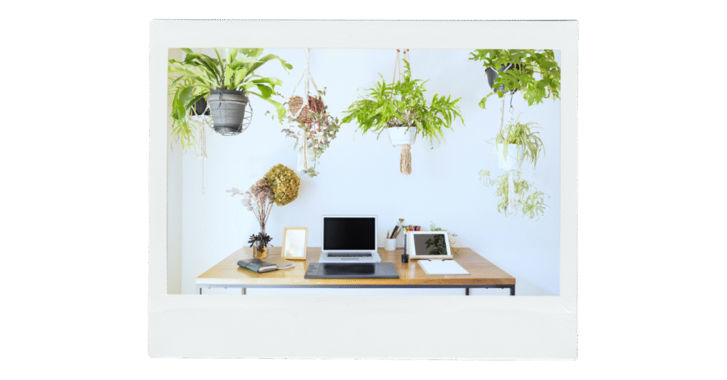 Como decorar ambiente pequenos com plantas?