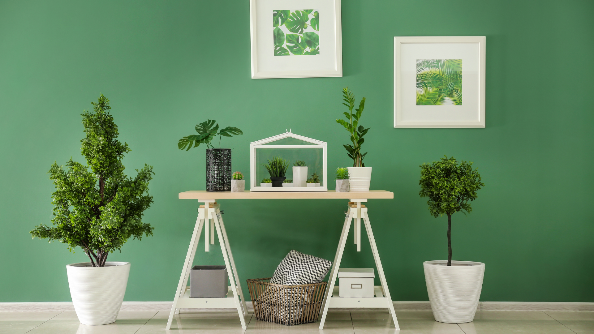 Como decorar ambiente pequenos com plantas?