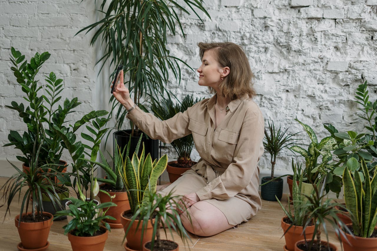 O que é a tendência Urban Jungle?