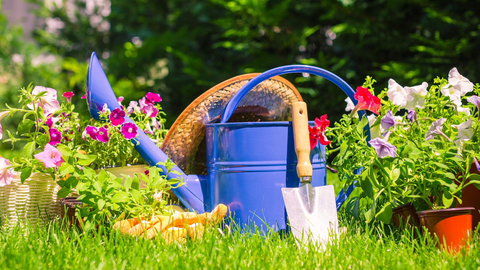 Estilos de jardim: descubra qual é o seu!
