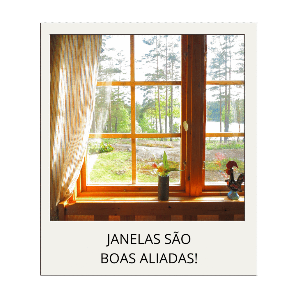  uma planta na janela com a legenda 