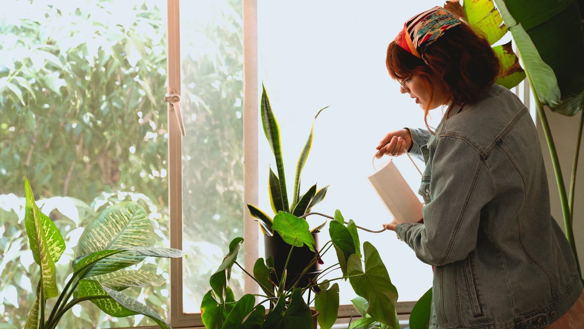 Erros comuns ao cuidar das suas plantinhas – e como evitar!
